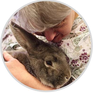 Animal Interaction Workshop for Adults With Learning Disabilities